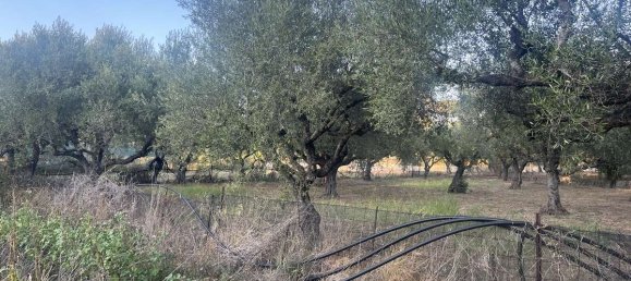  Hotel in Zakynthos, Greece No. 8517 9