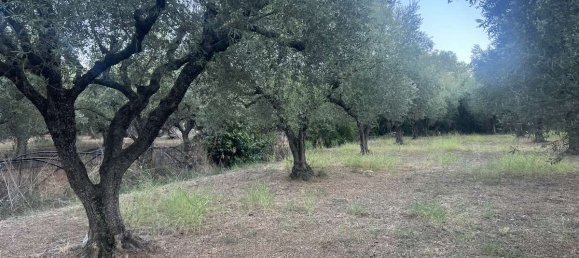  Hotel in Zakynthos, Greece No. 8517 8