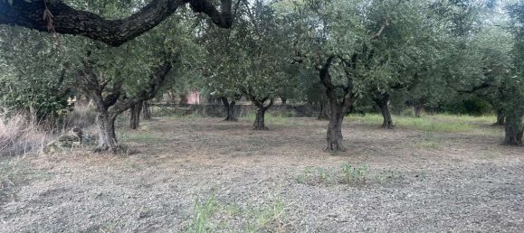  Hotel in Zakynthos, Greece No. 8517 7