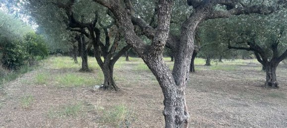  Hotel in Zakynthos, Greece No. 8517 2