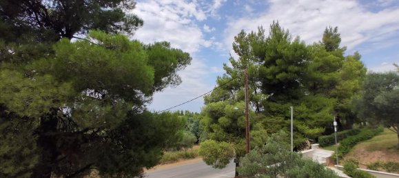 3 bedrooms Property in Chalkidiki, Greece No. 4275 3