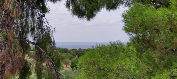 3 bedrooms Property in Chalkidiki, Greece No. 4275 23