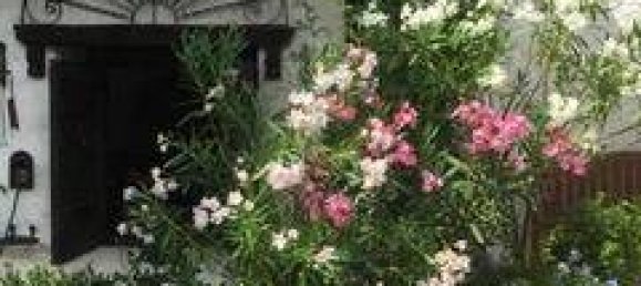 Estúdio em Rechnitz, Austria N.º 213089 28