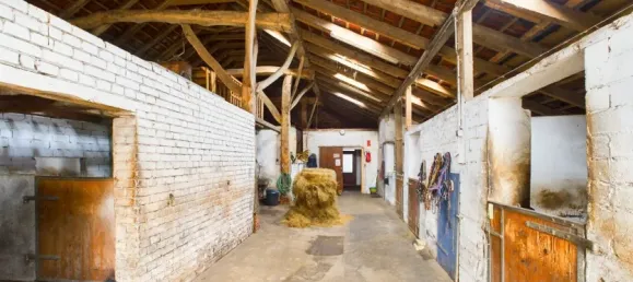 25 bedrooms Farm in Emsland, Germany No. 299821 11