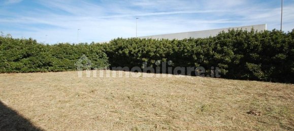 485m² Warehouse in Brindisi, Italy No. 346297 23