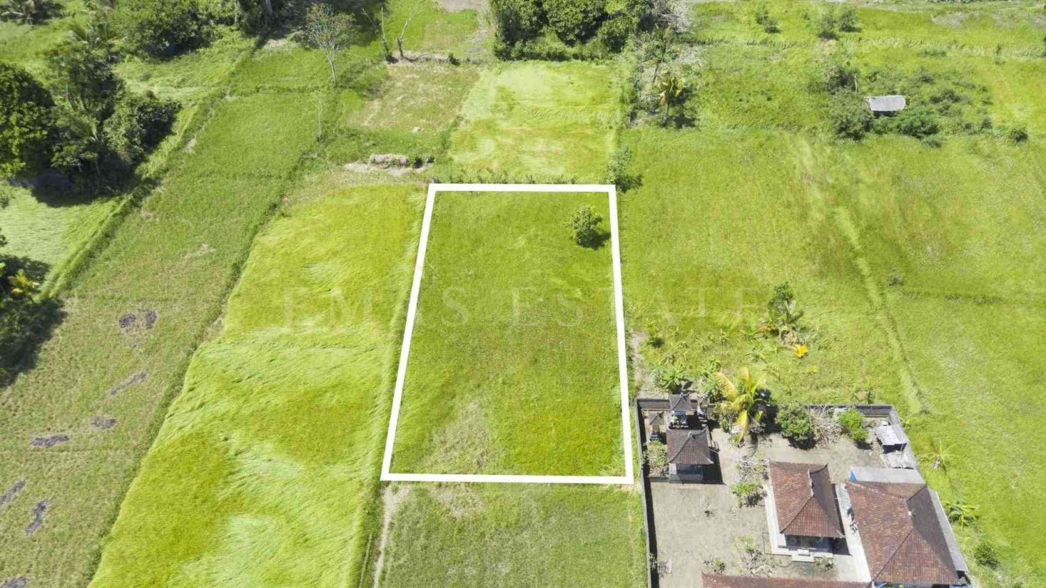 Земельный участок в Убуд, Индонезия № 30