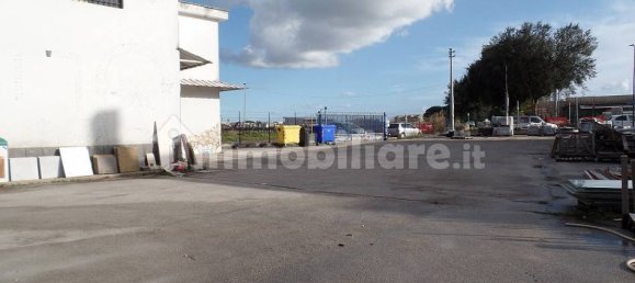  مستودع في Aprilia, Italy 523متر مربع رقم 224426 9