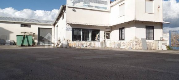  مستودع في Aprilia, Italy 523متر مربع رقم 224426 11