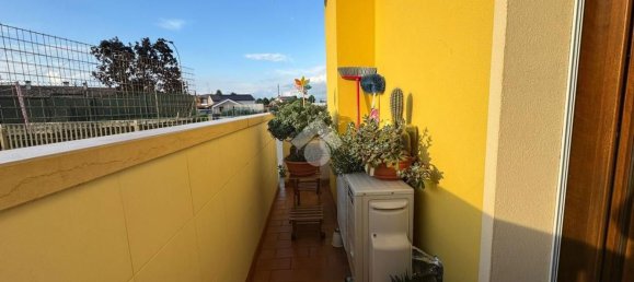 3 bedrooms Apartment in Giavera del Montello, Italy No. 332345 8