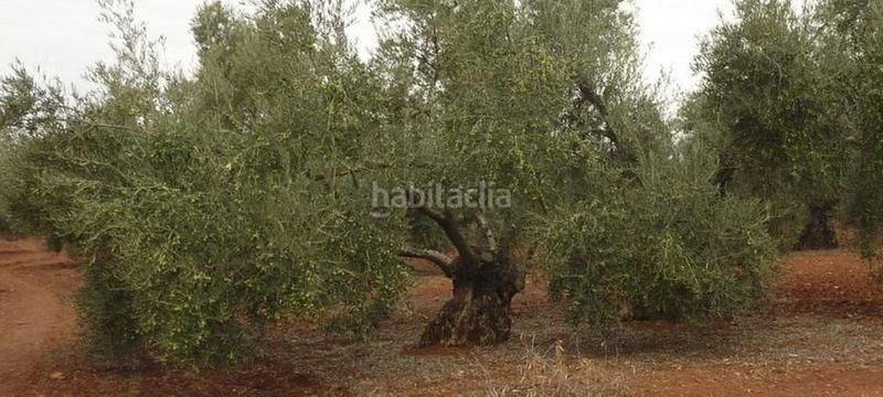 Terreno en Andalucía, Spain 13000 m² No. 219592