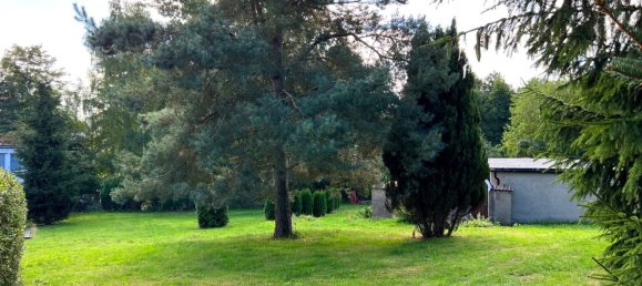 Terreno em Mittelsachsen, Germany N.º 170551 8