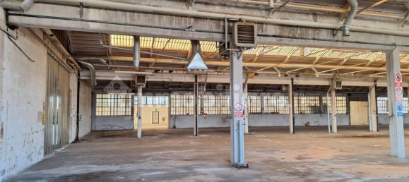 Almacén en Udine, Italy 5500 m² No. 317786 11