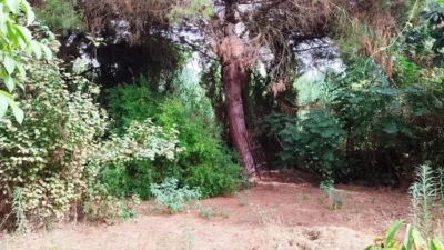 Terrain à San Roque, Spain No. 200669