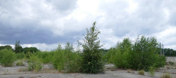  قطعة أرض في Ludwigslust-Parchim, Germany رقم 354938 14