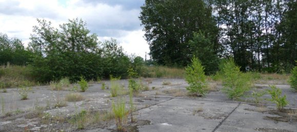  قطعة أرض في Ludwigslust-Parchim, Germany رقم 354938 9