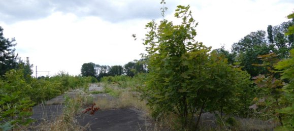  قطعة أرض في Ludwigslust-Parchim, Germany رقم 354938 24