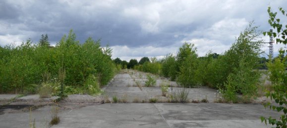  قطعة أرض في Ludwigslust-Parchim, Germany رقم 354938 15