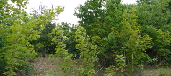  قطعة أرض في Ludwigslust-Parchim, Germany رقم 354938 2