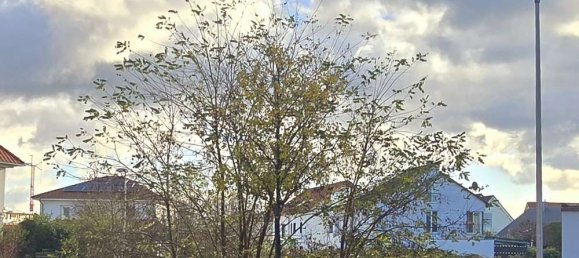  Land in Bad Durkheim, Germany No. 136802 3