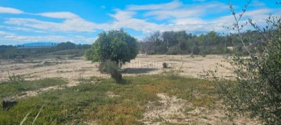 Terreno en Ceutí, Spain 1424 m² No. 182495 3