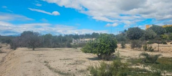 Terreno en Ceutí, Spain 1424 m² No. 182495 2