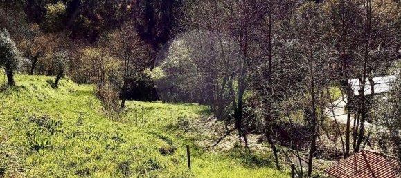 1 bedroom House in Celorico de Basto, Portugal No. 178495 10