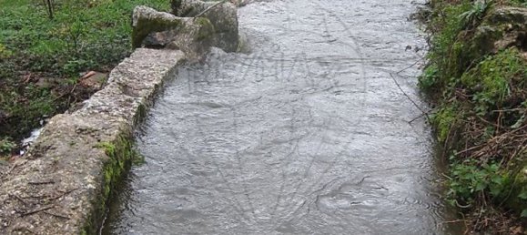 1 bedroom House in Celorico de Basto, Portugal No. 178495 5