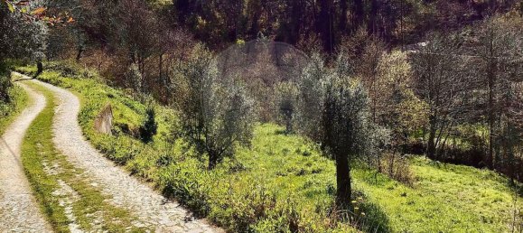 1 bedroom House in Celorico de Basto, Portugal No. 178495 2