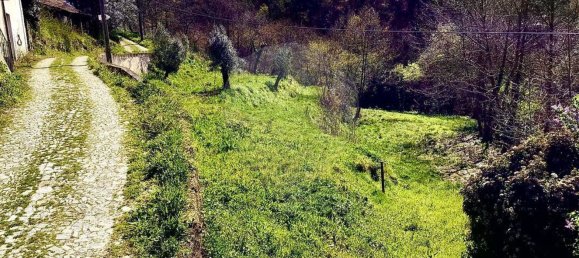 1 bedroom House in Celorico de Basto, Portugal No. 178495 3