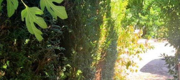 3 bedrooms Townhouse in Yonne, France No. 309002 11