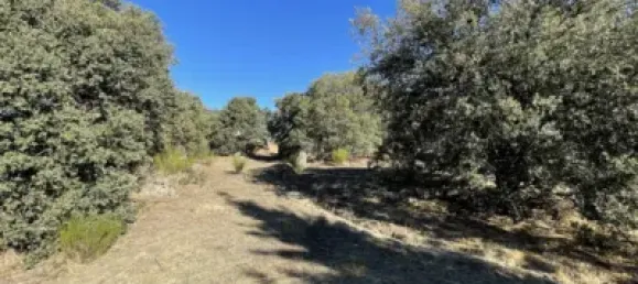  قطعة أرض في Zarzuela Del Monte, Spain 1056متر مربع رقم 90210 6