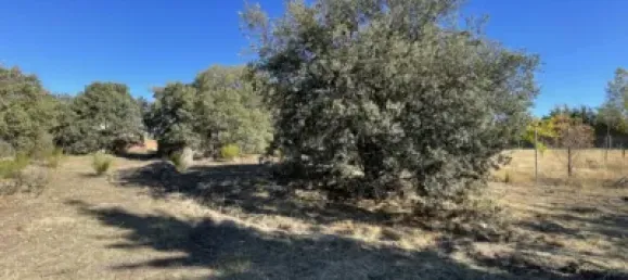  قطعة أرض في Zarzuela Del Monte, Spain 1056متر مربع رقم 90210 7