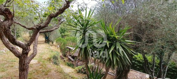 1 bedroom House in Alpes-Maritimes, France No. 291113 18