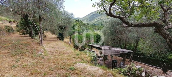 1 bedroom House in Alpes-Maritimes, France No. 291113 15