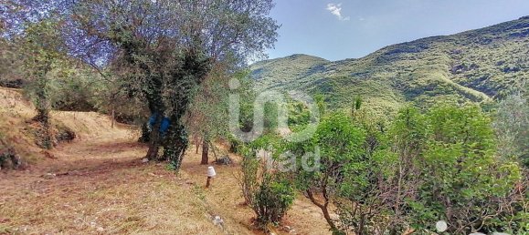 1 bedroom House in Alpes-Maritimes, France No. 291113 13