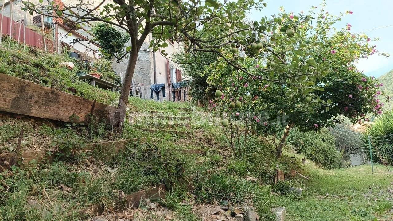 2 bedrooms House in Luni, Italy No. 395945