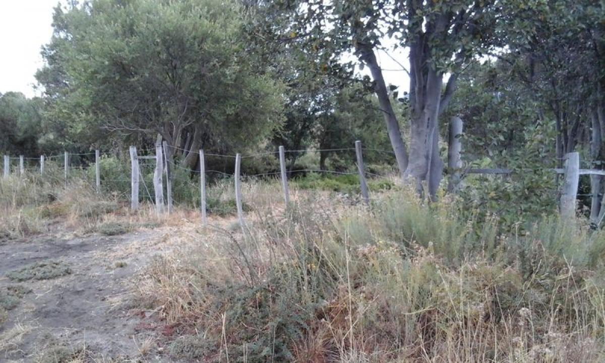  قطعة أرض في Neuquen, Argentina رقم 34098