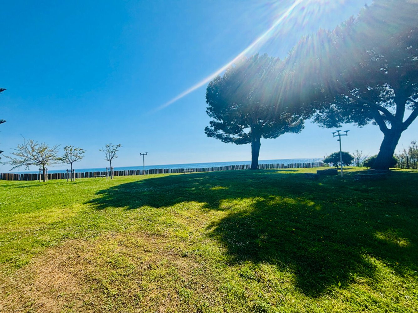 Studio in San-Nicolao, France, Nr. 246199