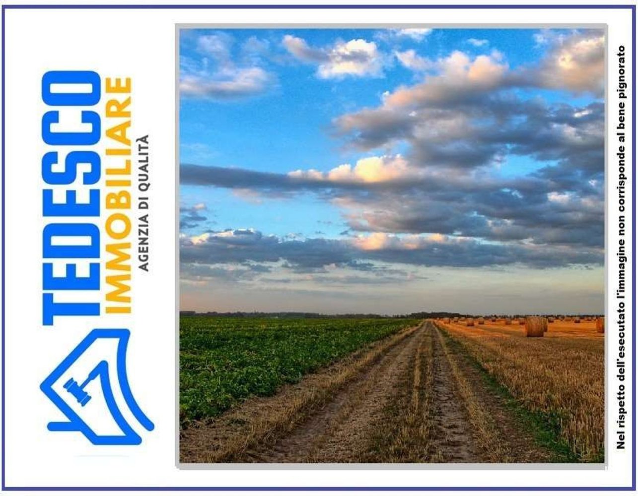 20393m² Land in Chianche, Italy No. 229267