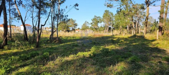 Terreno en Caldas da Rainha, Portugal 8715 m² No. 112840 12