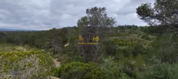 70m² Land in Tarragona, Spain No. 165131 5