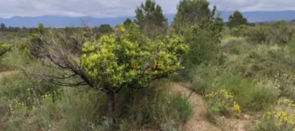 70m² Land in Tarragona, Spain No. 165131 13