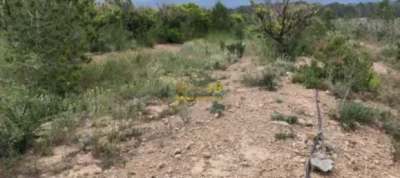 70m² Land in Tarragona, Spain No. 165131 10