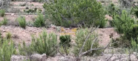 70m² Land in Tarragona, Spain No. 165131 23