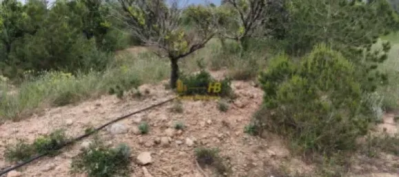 70m² Land in Tarragona, Spain No. 165131 11