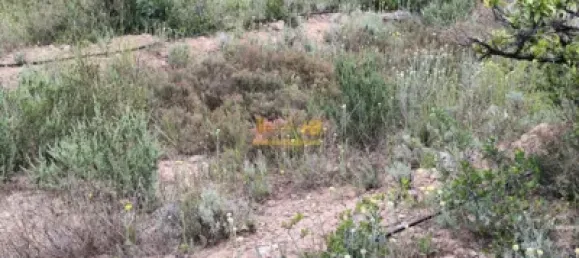 70m² Land in Tarragona, Spain No. 165131 12