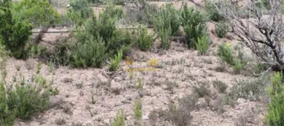 70m² Land in Tarragona, Spain No. 165131 22