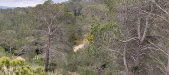 70m² Land in Tarragona, Spain No. 165131 3