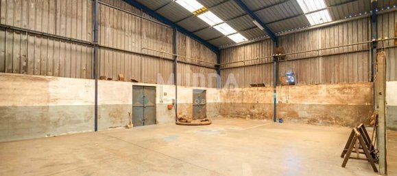 Lagerhaus in Albergaria a Velha, Portugal 960m², Nr. 218025 17