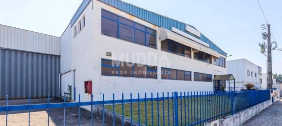 Lagerhaus in Albergaria a Velha, Portugal 960m², Nr. 218025 5